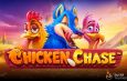 chicken chase