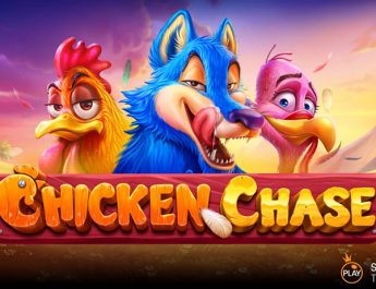 chicken chase