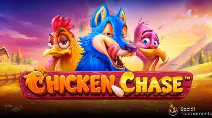 chicken chase